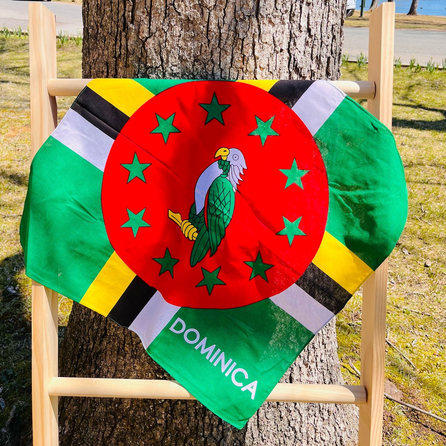 Dominica Flag Bandana