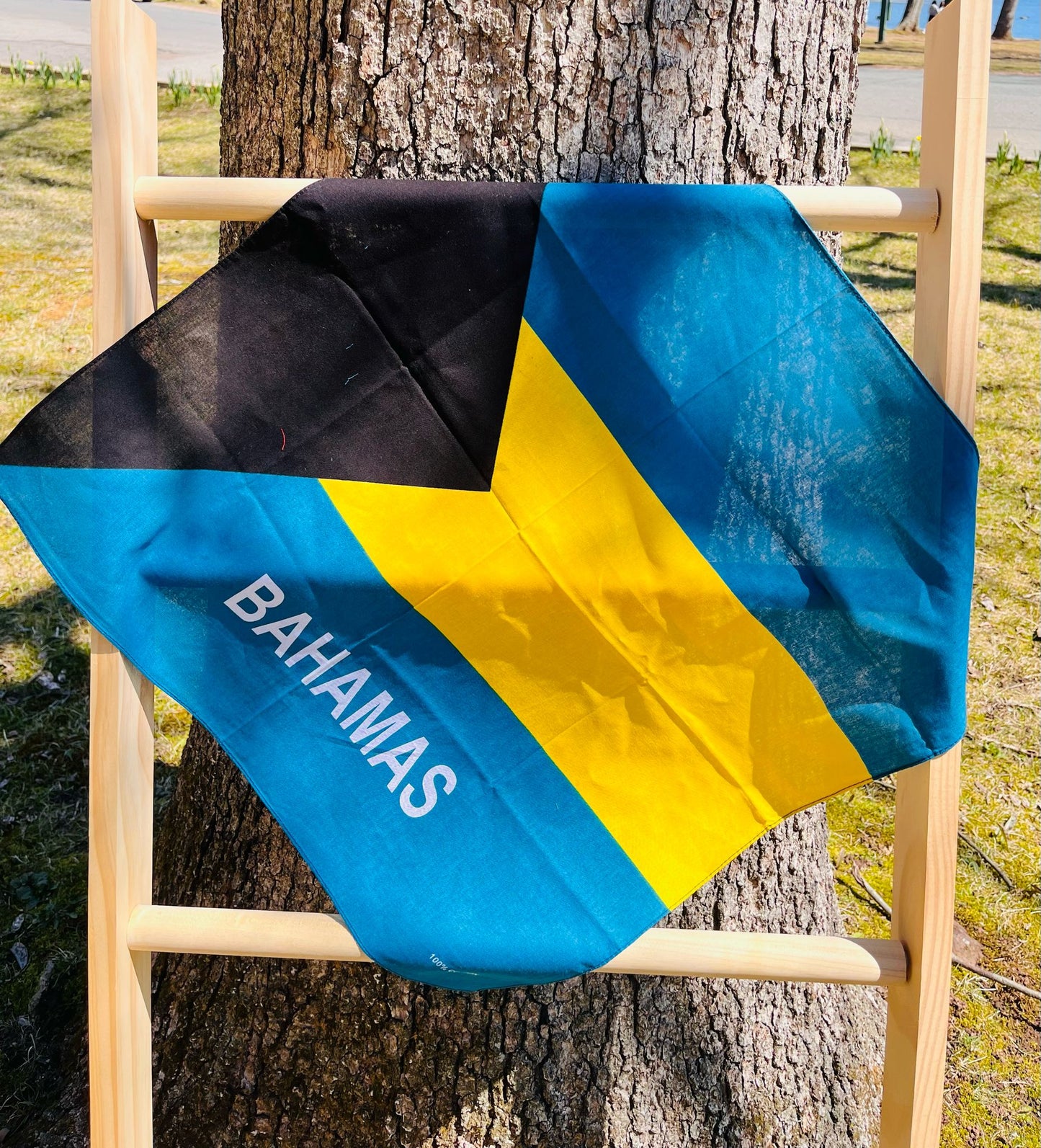 Bahamas Flag Bandana