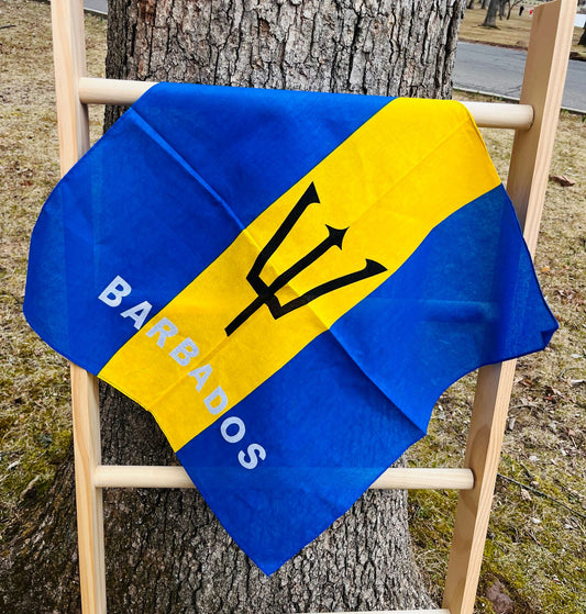 Barbados Flag Bandana