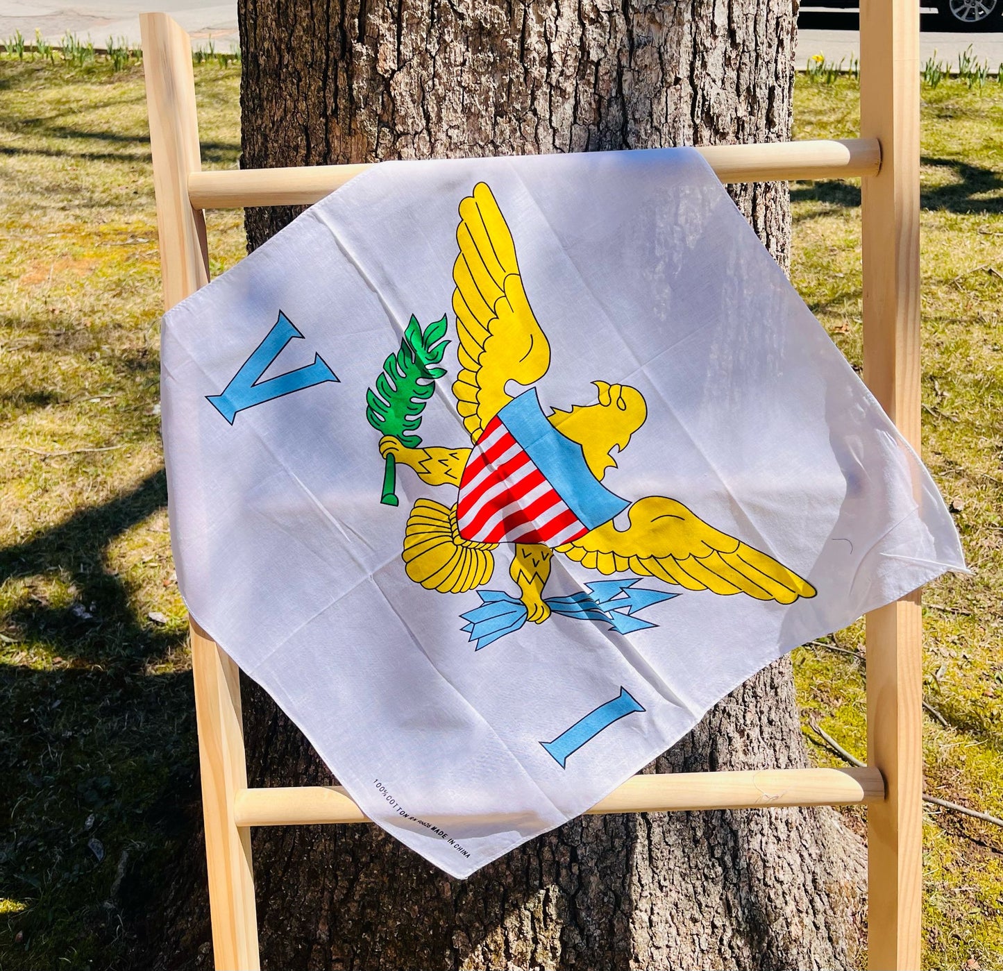 Virgin Islands Flag Bandana