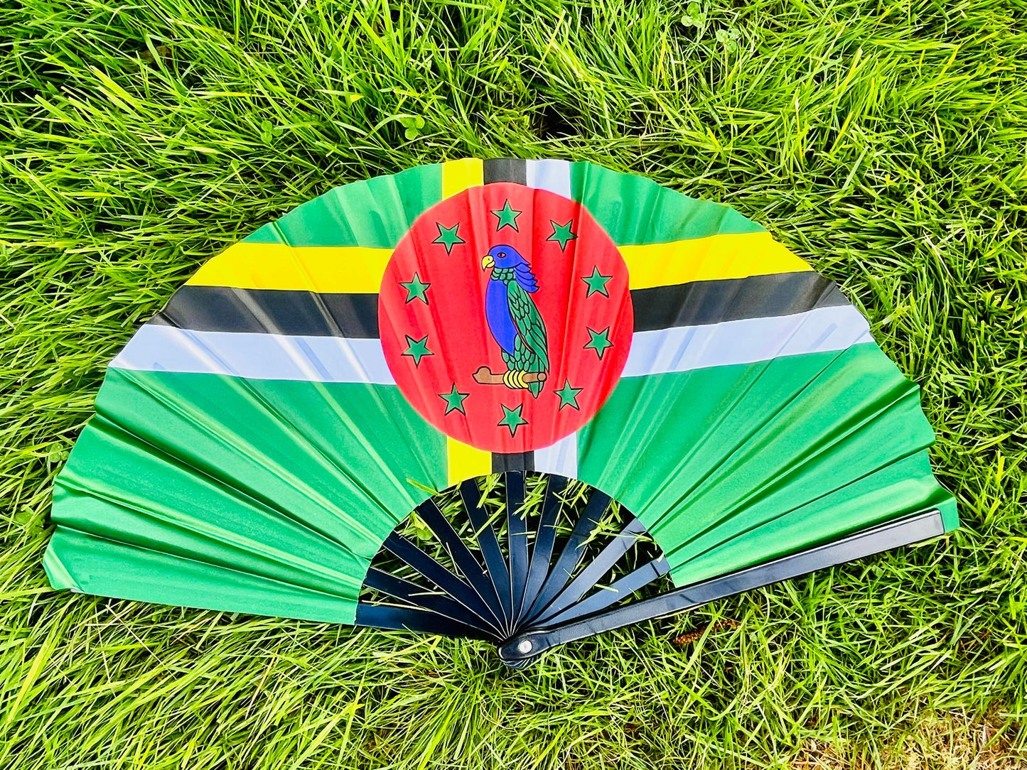 Dominica Flag Fan