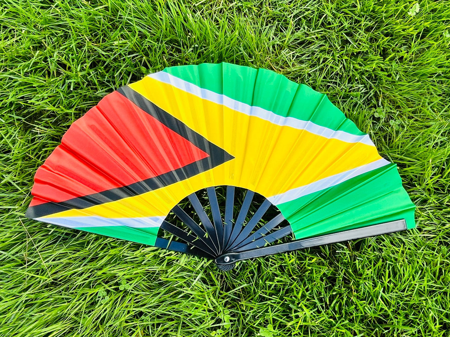 Guyana Flag Fan